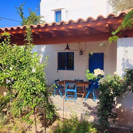 הוילה אפאנטו Lianas Garden House מראה חיצוני תמונה