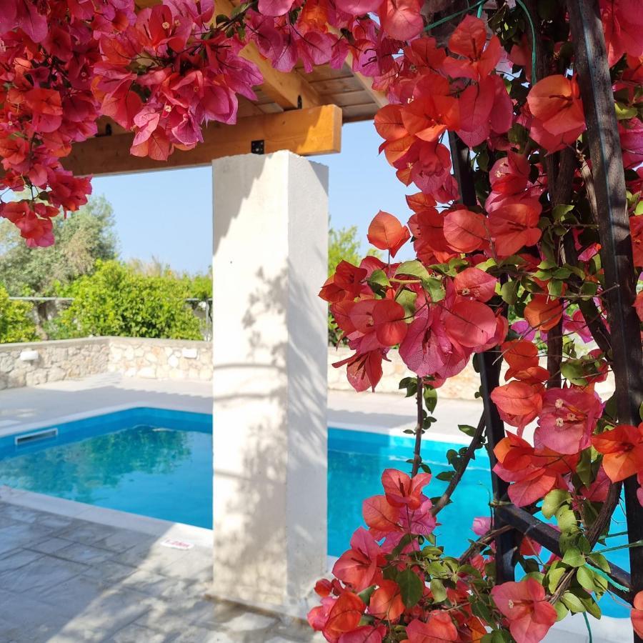 הוילה אפאנטו Lianas Garden House מראה חיצוני תמונה