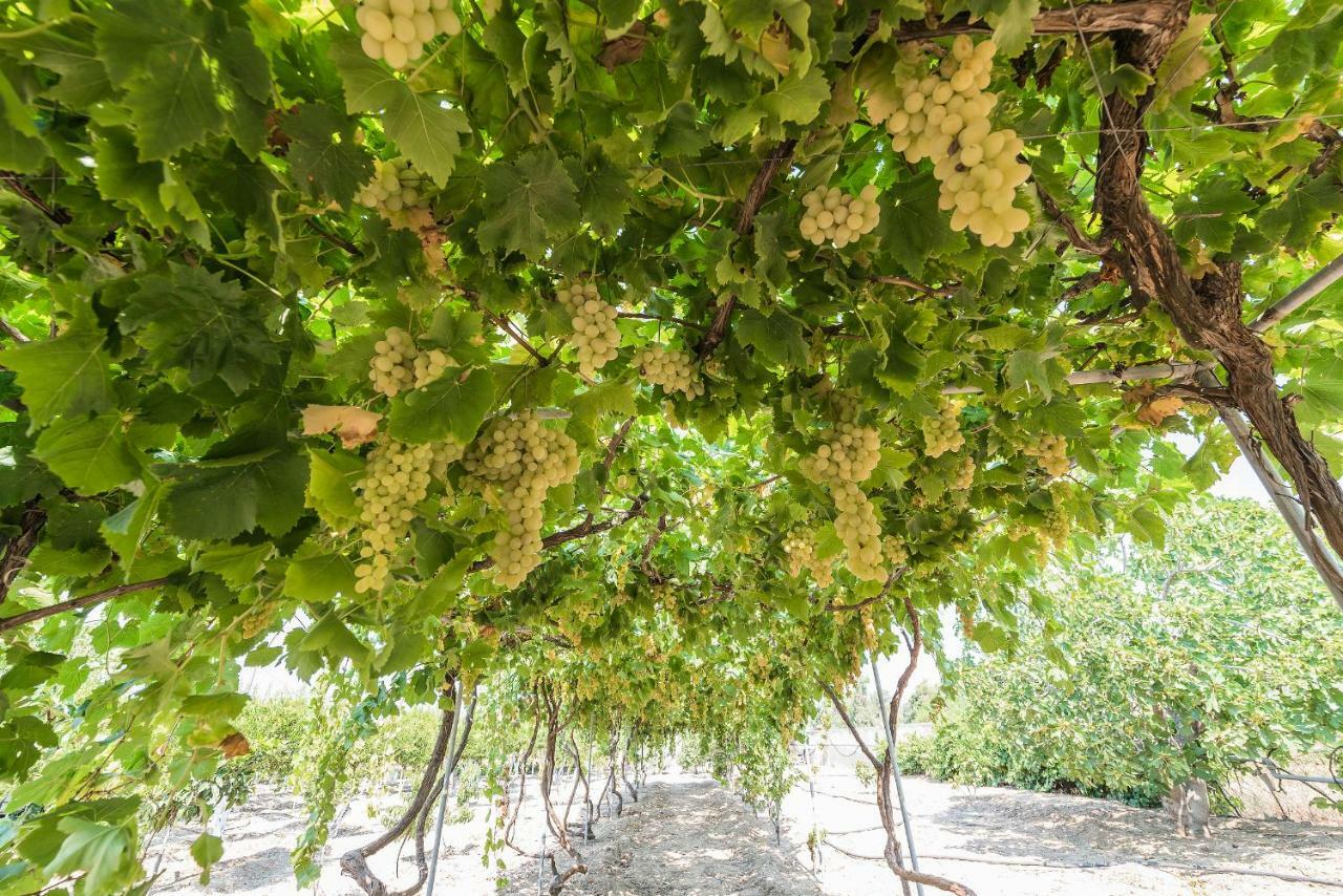 הוילה אפאנטו Lianas Garden House מראה חיצוני תמונה