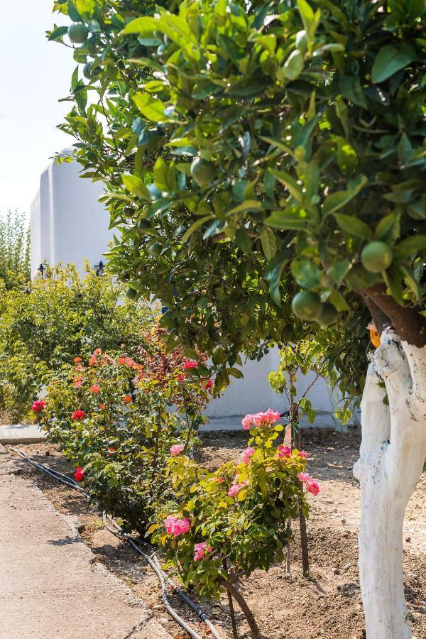 הוילה אפאנטו Lianas Garden House מראה חיצוני תמונה